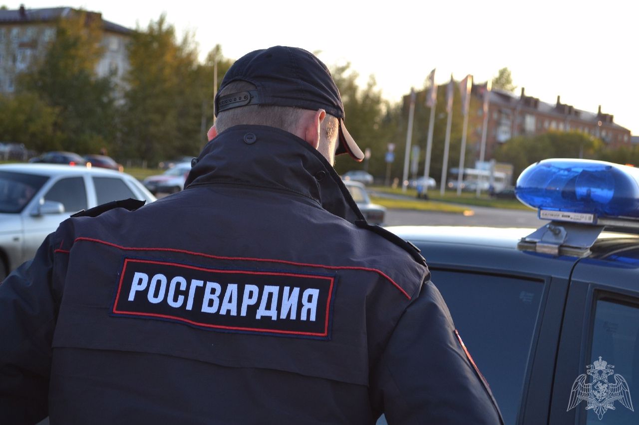 Как регистрировать охолощенное оружие в Росгвардии по новым правилам в 2023 году?